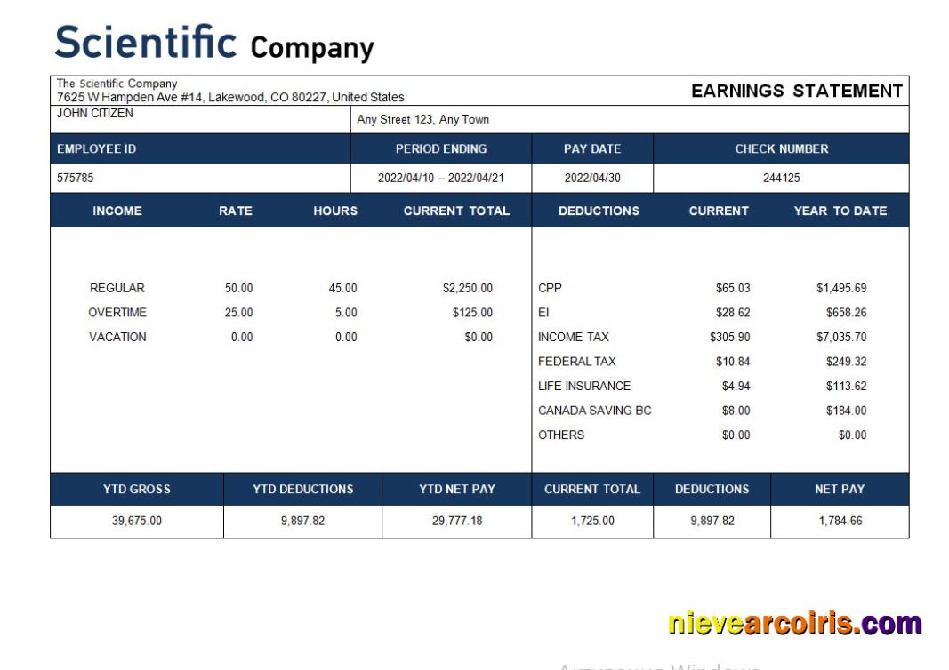 scientific company payroll statement